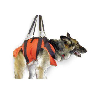 RNR Dog Lift Harness